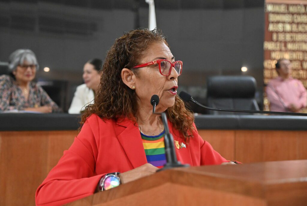 Seleccionan representantes para el 2do. Parlamento de la Diversidad ...