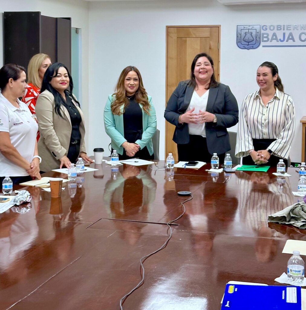 Instituto de las Mujeres participa en sesión del GEPEA por la igualdad ...